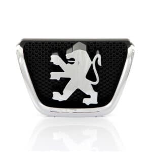 SIGLE PC AV PEUGEOT 307 06/05 => 7810P7