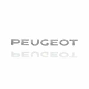MONOGRAMME "PEUGEOT" 308 09/07 => 00008665VF