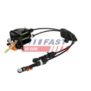 FAST - FT03029