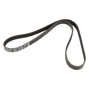 Courroie nervurée Dayco - Réf. 46354610 - Pièce adaptable