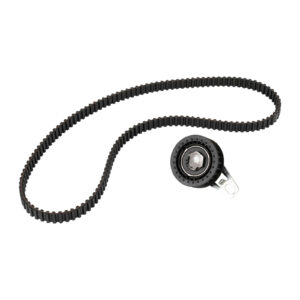 Kit de courroies de distribution pour arbres d'equilibrage NTN-SNR - Réf. 55221253 - Pièce adaptable