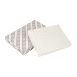 Filtre a air interieur filtre a pollen L=262 l=195 H=38 mm AG Automotive - Réf. 6000620028 - Pièce adaptable