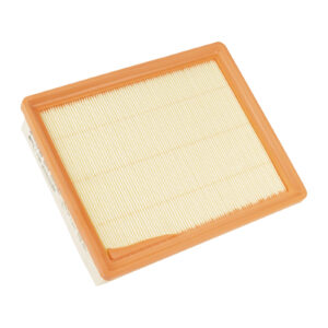 Insert de filtre a air d'origine L=258 l=208 H=73 mm - Réf. 6000620495 - Pièce origine