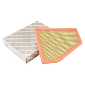 Insert de filtre a air AG Automotive - Réf. K68542769AA - Pièce adaptable