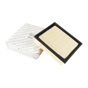 Insert de filtre à air carré L=245 L=223 H=55 - Réf. 53146541 - Pièce origine