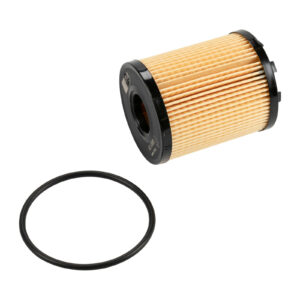 Cartouche de filtre à huile Nettoyer les filtres Tecneco - Réf. 6000626333 - Pièce adaptable