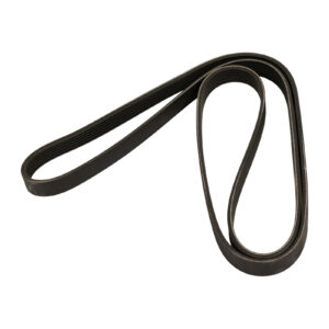 Courroie trapézoïdale 6K1856 Dayco - Réf. 50534146 - Pièce adaptable