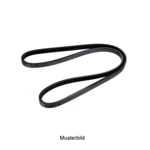 Courroie nervurée 3PK700 Dayco - Réf. 46776647 - Pièce adaptable