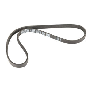 Courroie nervurée 4K800 Dayco - Réf. 60565258 - Pièce adaptable