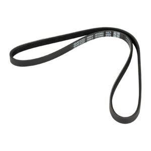 Courroie nervurée 4K985 DAYCO - Réf. 504012393 - Pièce adaptable