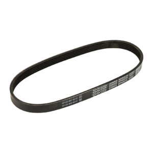 Courroie nervurée 5K0575 Dayco - Réf. 93BB6C301DD - Pièce adaptable