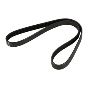 Courroie trapézoïdale striée 5K0925-6 DAYCO - Réf. 71749418 - Pièce adaptable