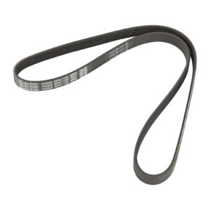 Courroie nervurée 5PK1125 DAYCO - Réf. 95006268 - Pièce adaptable