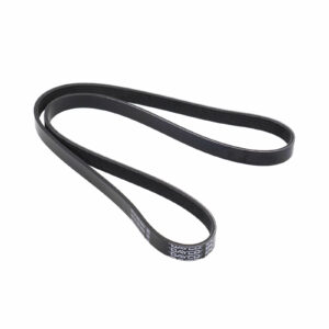 Courroie nervurée 5PK1150-3 Dayco - Réf. 55232450 - Pièce adaptable