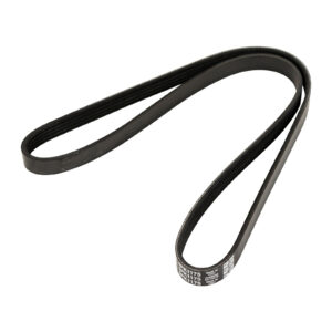 Courroie nervurée 5K1173 DAYCO - Réf. 55219226 - Pièce adaptable