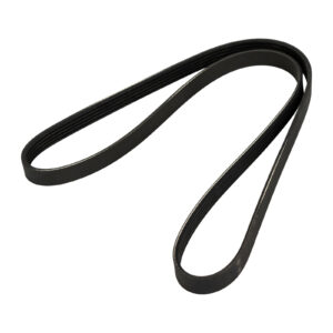 Courroie nervurée 5K1215-8 DAYCO - Réf. 55240004 - Pièce adaptable
