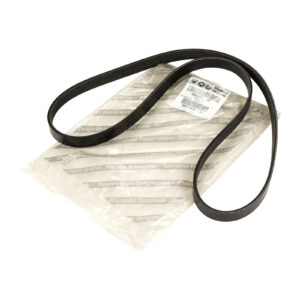 Courroie trapézoïdale 5K1215-8 OE (55240004) - Réf. 55240004 - Pièce origine