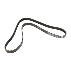 Courroie nervurée Dayco - Réf. 55245947 - Pièce adaptable