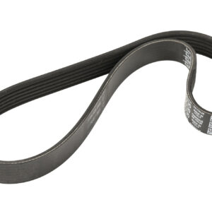 Courroie trapézoïdale 6K0730 DAYCO - Réf. 9620903880 - Pièce adaptable
