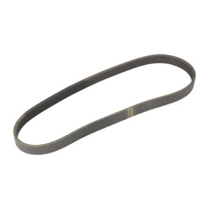 Courroie trapézoïdale 6K0800-2 NTN-SNR - Réf. 55202584 - Pièce adaptable