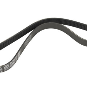Courroie nervurée 6PK894 DAYCO - Réf. 7700869440 - Pièce adaptable