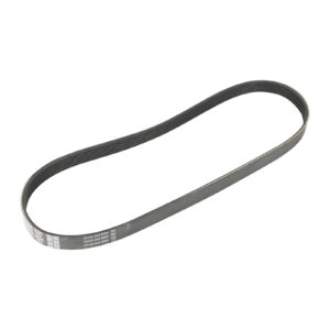 Courroie trapézoïdale 6K0923-6 Dayco - Réf. 6453W0 - Pièce adaptable