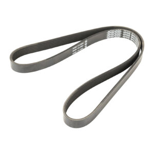 Courroie nervurée 6K1075 Dayco - Réf. 9615208480 - Pièce adaptable