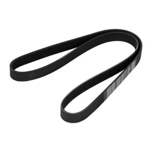 Courroie nervurée 6K1140 Dayco - Réf. 71753873 - Pièce adaptable