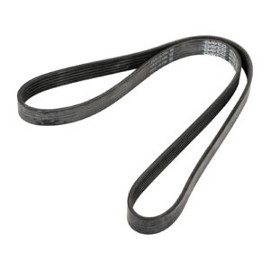 Courroie nervurée 6K1160 DAYCO - Réf. 504092340 - Pièce adaptable