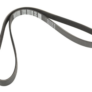 Courroie nervurée 6K1195 Dayco - Réf. 71753871 - Pièce adaptable