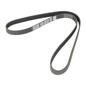 Courroie trapézoïdale striée 6K1212 / 6PK1215 Dayco - Réf. 504092335 - Pièce adaptable