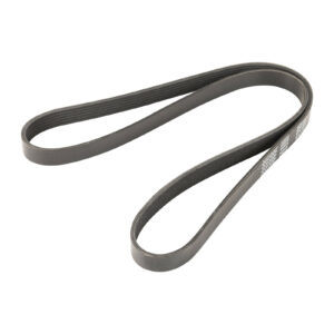 Courroie nervurée 6K1285 Dayco - Réf. 60667050 - Pièce adaptable