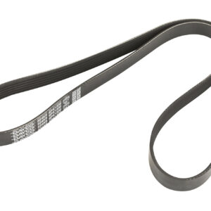 Courroie nervurée 6K1330 Dayco - Réf. 55202621 - Pièce adaptable