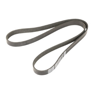 Courroie nervurée 6K1376 Dayco - Réf. 55203815 - Pièce adaptable