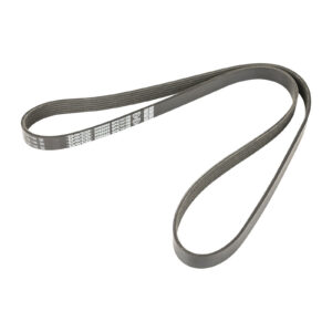 Courroie nervurée 6K1410 DAYCO - Réf. 55200253 - Pièce adaptable