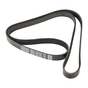 Courroie nervurée 6K1525 Dayco - Réf. 55218885 - Pièce adaptable