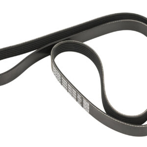 Courroie nervurée 6K1600 Dayco - Réf. 9620550980 - Pièce adaptable
