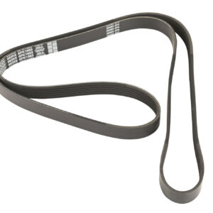 Courroie nervurée 6K1682 Dayco - Réf. 9464867280 - Pièce adaptable