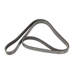 Courroie nervurée 6K1692-95 Dayco - Réf. 46540146 - Pièce adaptable