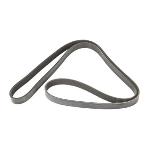 Courroie nervurée 6K1718 Dayco - Réf. 46414860 - Pièce adaptable