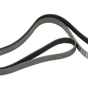 Courroie nervurée 6K1755 DAYCO - Réf. 71749452 - Pièce adaptable