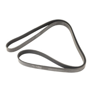 Courroie trapézoïdale 6K1815 Dayco - Réf. 60667257 - Pièce adaptable