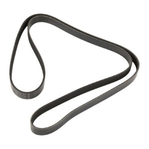 Courroie trapézoïdale striée 6K1835 Dayco - Réf. 55189677 - Pièce adaptable