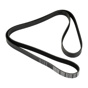 Courroie nervurée 6K1842 DAYCO - Réf. 60666950 - Pièce adaptable