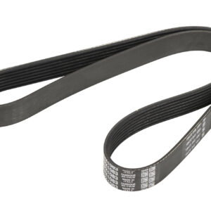 Courroie nervurée 7K1080-3 Dayco - Réf. 60607387 - Pièce adaptable