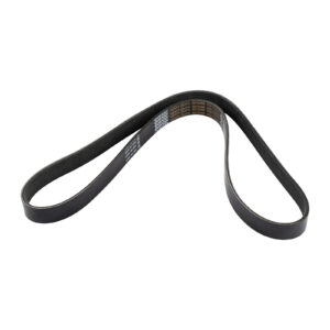 Courroie nervurée 7PK1236 Dayco - Réf. 5801735854 - Pièce adaptable