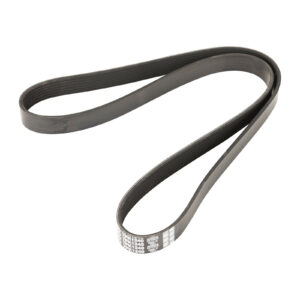 Courroie nervurée 7PK1240 Dayco - Réf. 60568842 - Pièce adaptable