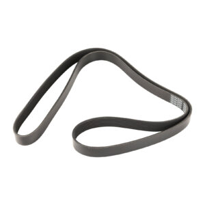Courroie nervurée 7PK1675 Dayco - Réf. 7629650 - Pièce adaptable