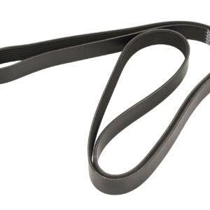 Courroie trapézoïdale 7K1975 DAYCO - Réf. 60561247 - Pièce adaptable