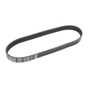 Courroie nervurée Dayco - Réf. 5801944056 - Pièce adaptable